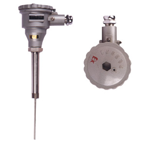 WZPϵ�и���������