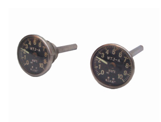 WTJ��˫�����¶ȼ� 